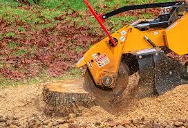 How Our Tree Care Process Works  in  Olive Hill, KY